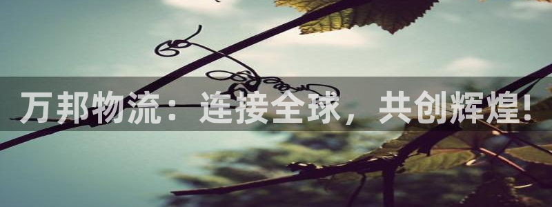 多多28官网开奖结果预测查询：万邦物