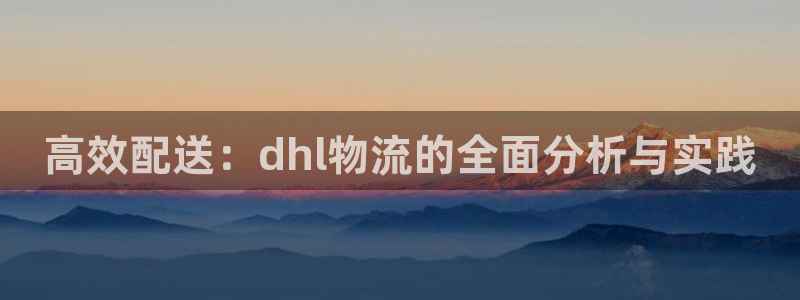 多多28官网下载多少：高效配送：dh