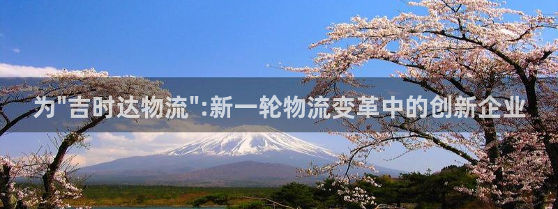 多多28登录流程：为\