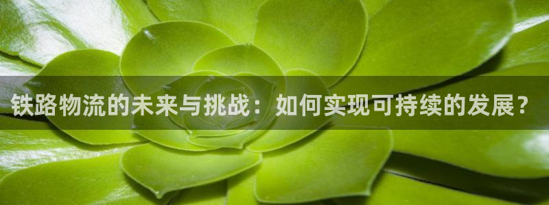 多多28加拿大最新版：铁路物流的未来