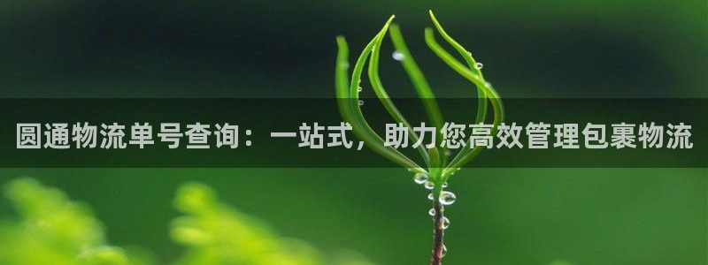 多多28软件