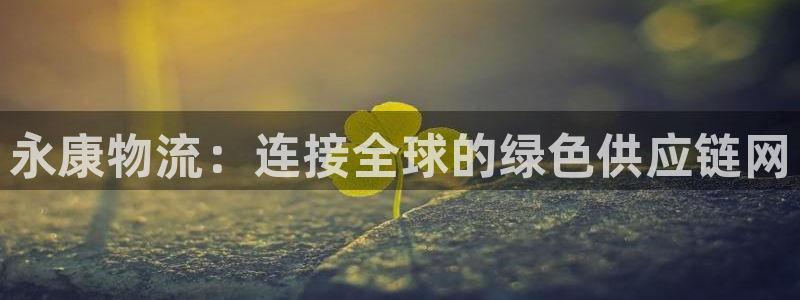多多28游戏最新版：永康物流：连接全球的绿色供应链网