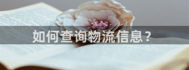 多多28模拟器在线玩：如何查询物流信