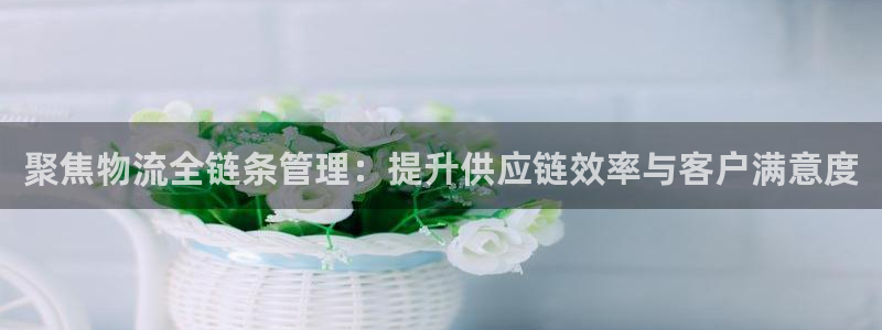多多28是什么软件：聚焦物流全链条管