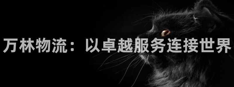 多多28分分压单双技巧：万林物流：以