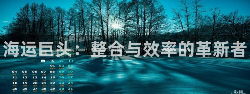 多多28娱乐官网网页：海运巨头：整合