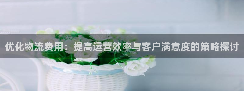 多多28注册登录流程：优化物流费用：