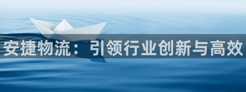 多多28链接来一个：安捷物流：引领行