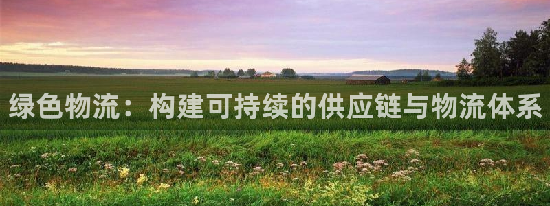 多多28反水什么时候到：绿色物流：构
