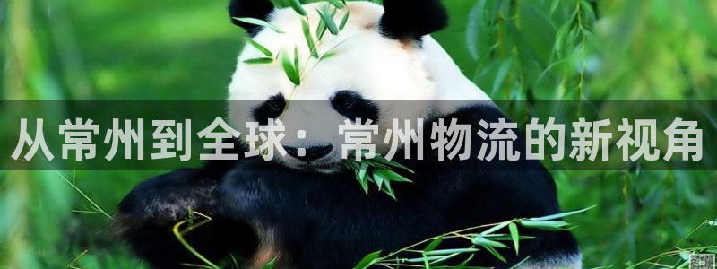 多多28忘记账号：从常州到全球：常州