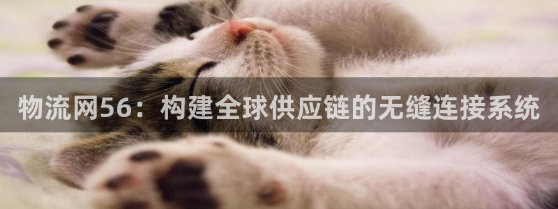 多多28官网下载多少