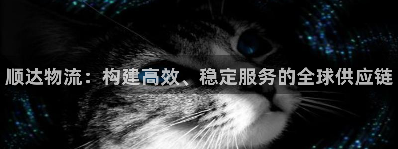 多多28注册入口与教程：顺达物流：构