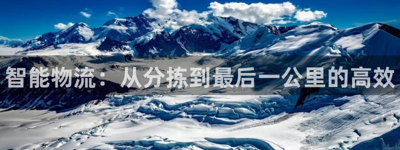 多多28赌博软件正规吗：智能物流：从
