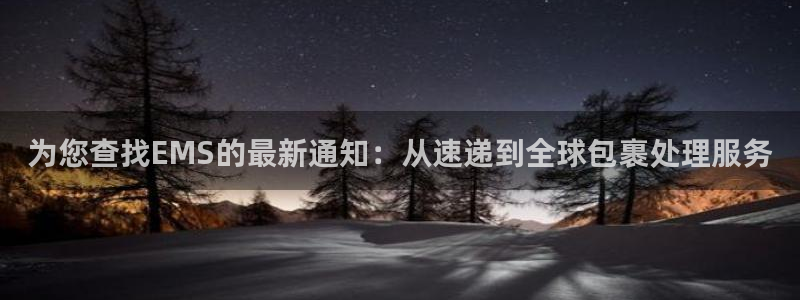 多多28网站怎么注册:为您查找EMS