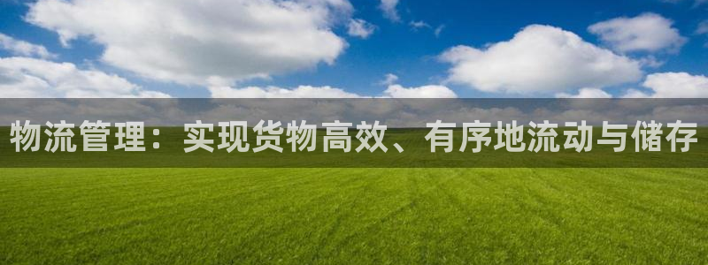 多多28游戏官网版:物流管理:实现货