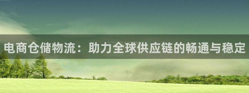 多多28激活码：电商仓储物流：助力全