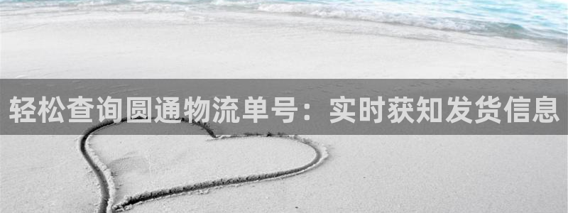 多多28游戏最新版:轻松查询圆通物流