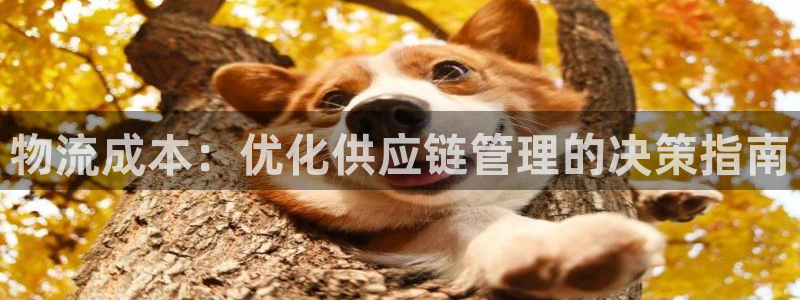 多多28官网入口pc正版：物流成本：