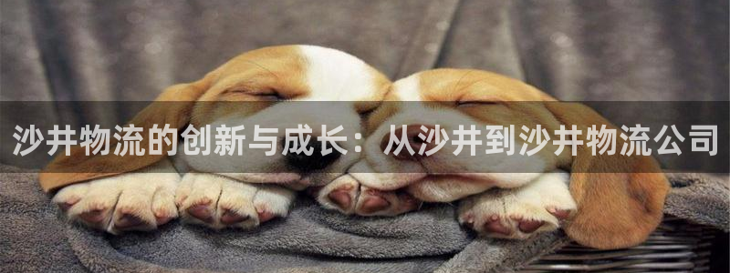 多多28自行车搞笑图片:沙井物流的创