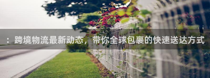 多多28口内径是多大：：跨境物流最新