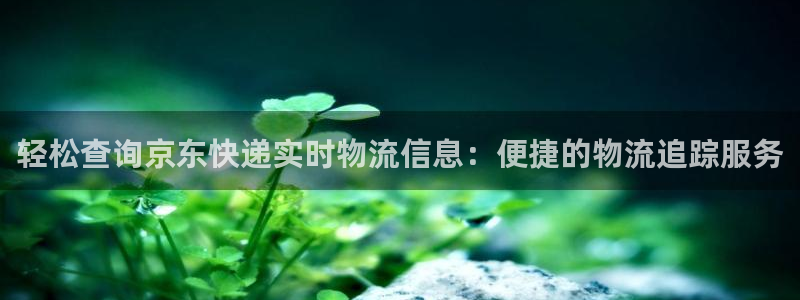 多多28aPP退款：轻松查询京东快递