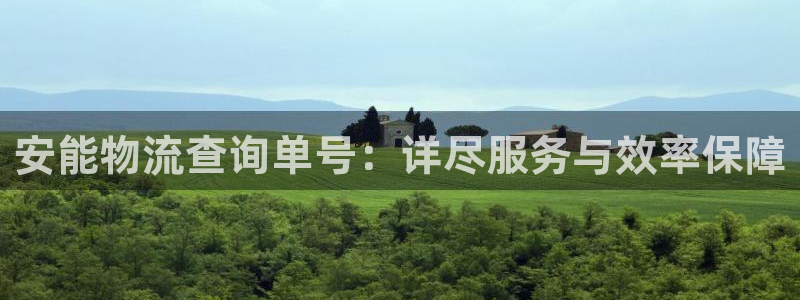 多多28加拿大是什么意思：安能物流查