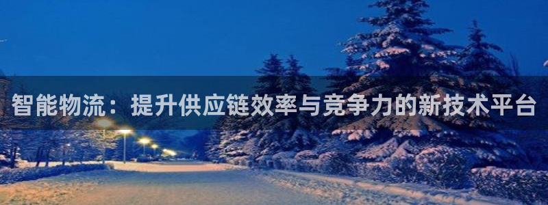 多多28加拿大是什么:智能物流:提升