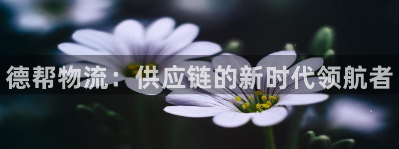 多多28流水怎么算：德帮物流：供应链