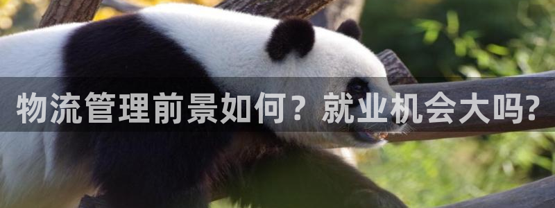 多多28注册登录链接流程：物流管理前