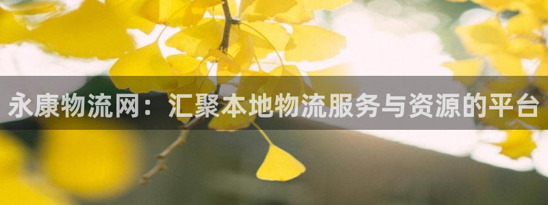 多多28游戏链接：永康物流网：汇聚本