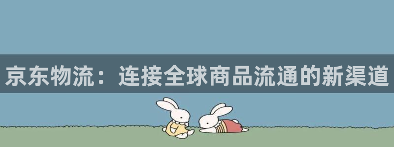 多多28口内径是多大：京东物流：连接