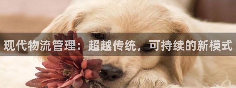 多多28电子：现代物流管理：超越传统