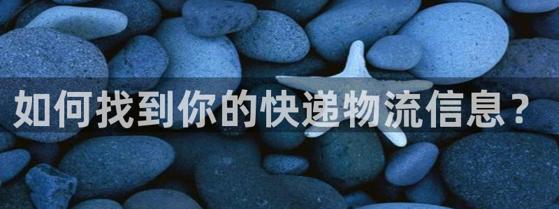 多多28官方版正版：如何找到你的快递