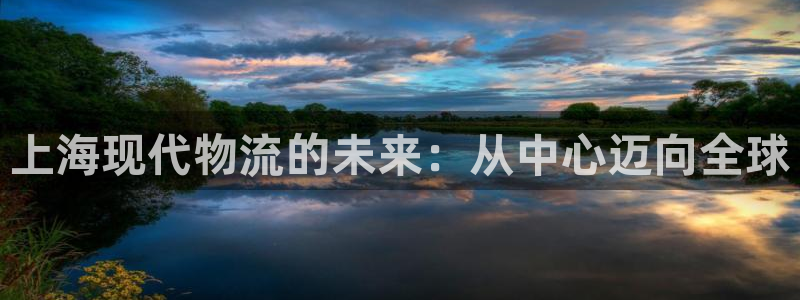 多多28现在狂杀：上海现代物流的未来