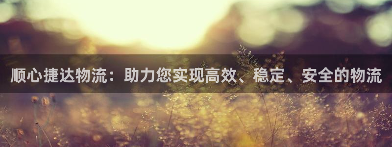 多多28初始密码在哪里修改：顺心捷达