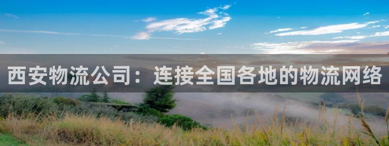 多多28绿骨头:西安物流公司:连接全