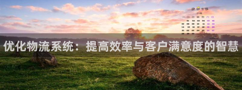 多多28软件堵什么反什么:优化物流系