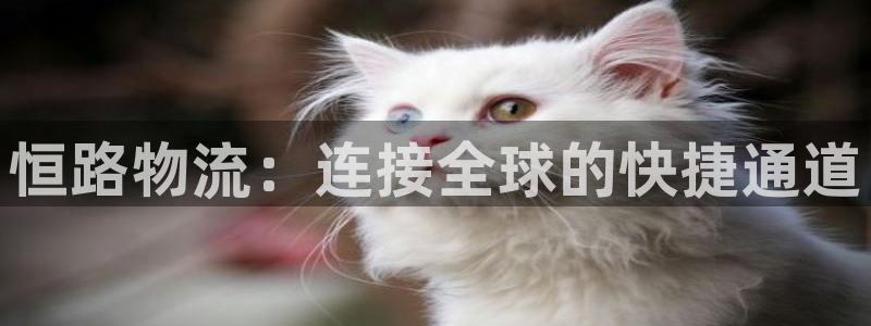 多多28口内径是多大:恒路物流:连接