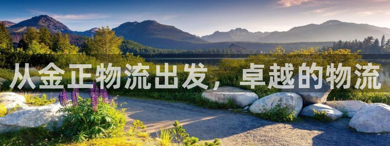 多多28官方网站预测：从金正物流出发