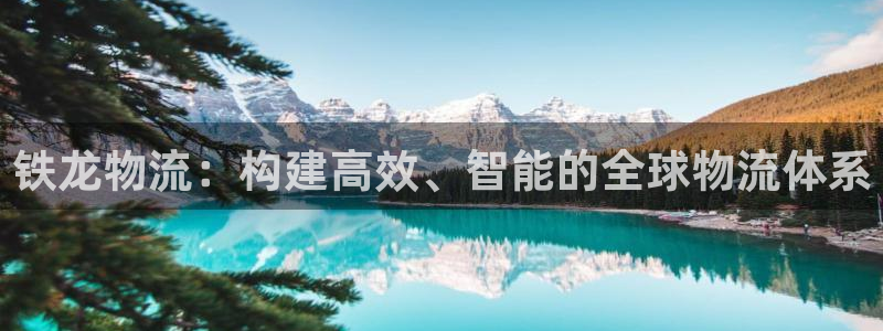 多多28登录：铁龙物流：构建高效、智能的全球物流体系